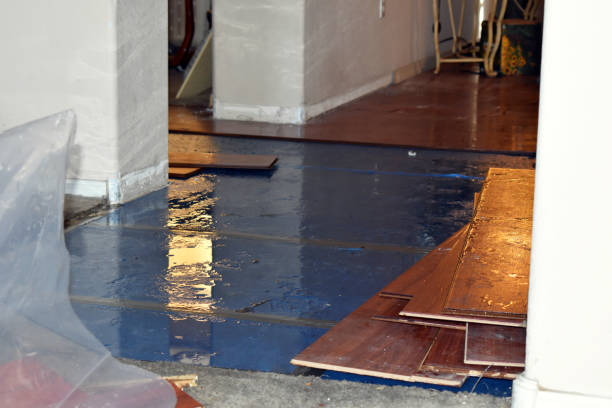 Professional Water Damage Restoration technician working in Eastaboga, AL